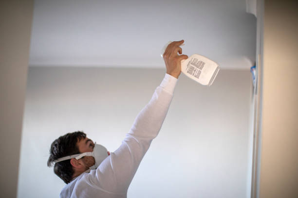 Best Bathroom Mold Remediation in Union Hill Novelty Hill, WA