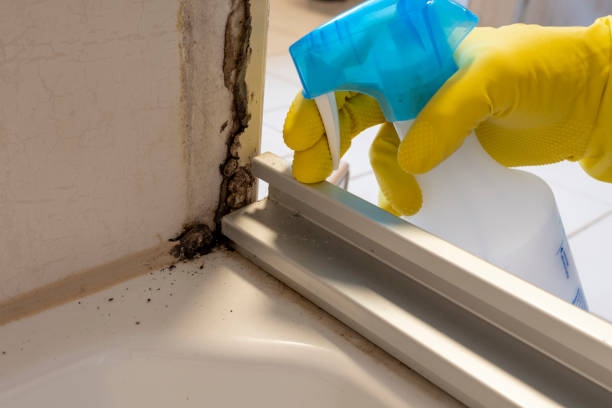 Best Post-Remediation Services in Union Hill Novelty Hill, WA