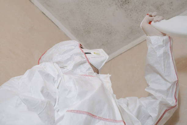 Best Commercial Mold Remediation in Union Hill Novelty Hill, WA