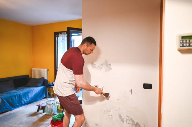 Best Basement Mold Remediation in Union Hill Novelty Hill, WA